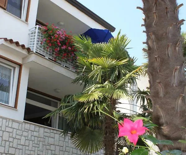 Gemma * Πόρετς